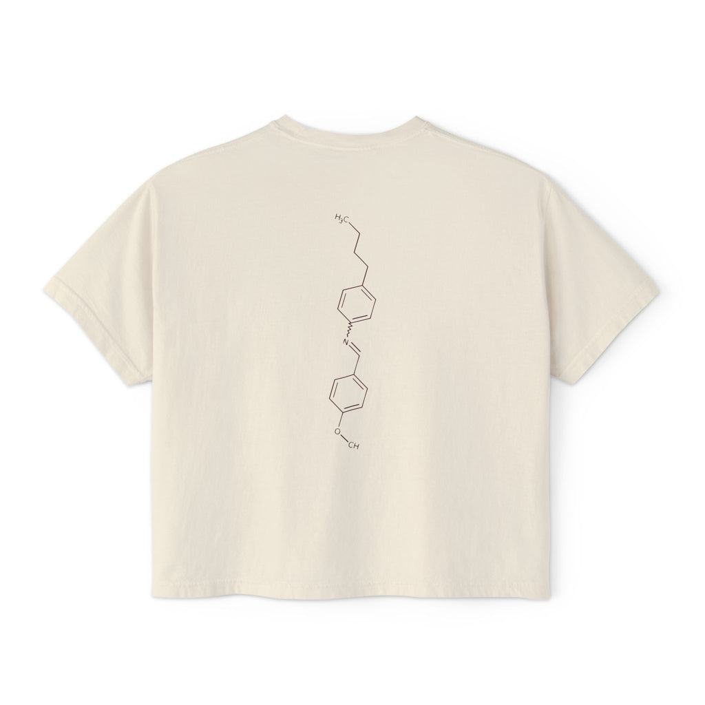Cream Comfort Colors cropped tee with a minimalist vertical chemistry graphic, inspired by Ali Hazelwood's Love Theoretically, from Thtgrlreads Ali Hazelwood collection