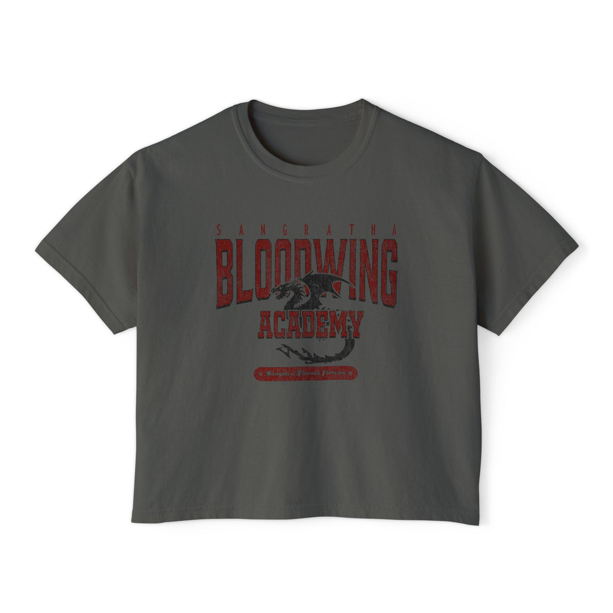Bloodwing Academy crop top from thtgrlreads featuring a vintage wash Comfort Colors base in dark gray with a distressed red graphic of a dragon and gothic text, part of the Bloodwing Academy and Tees collections.